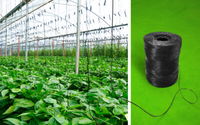 Biopolímero para rafia de invernadero compostable a nivel  industrial